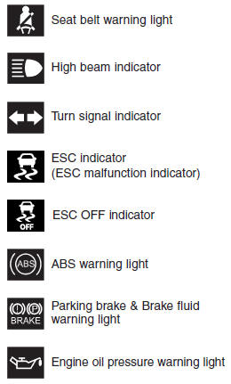 Hyundai Elantra: Indicator symbols on the instrument cluster. 