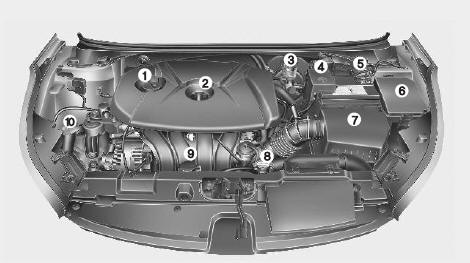 Hyundai Elantra: Engine compartment. 1. Engine oil filler cap