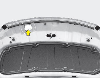 Hyundai Elantra: Refrigerant label. The refrigerant label is located on the underside of the hood.